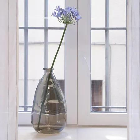 Nuevo Katu Kale Apartamentuak Centro Historico Apartment *