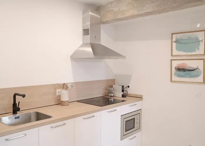 Nuevo Katu Kale Apartamentuak Centro Historico * Getaria