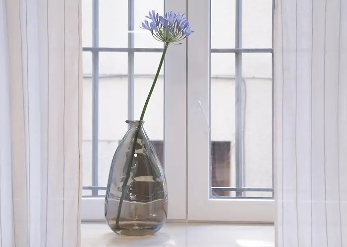 Nuevo Katu Kale Apartamentuak Centro Historico Apartment *